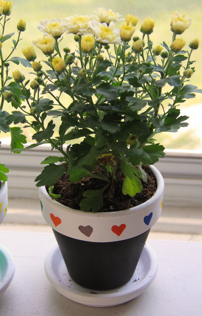 Say ‘Thank You’ with DIY Flower Pot Bridal Shower Gifts