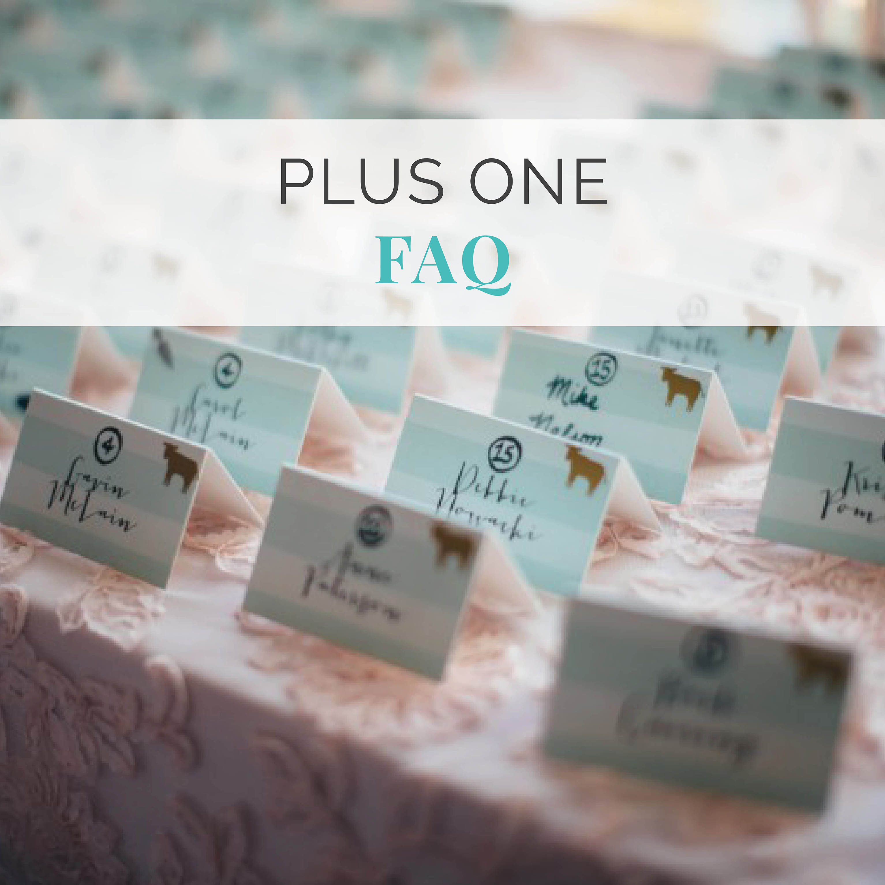 Plus One Faq Examples Plus one cards for wedding | Honestweddingadvice.com