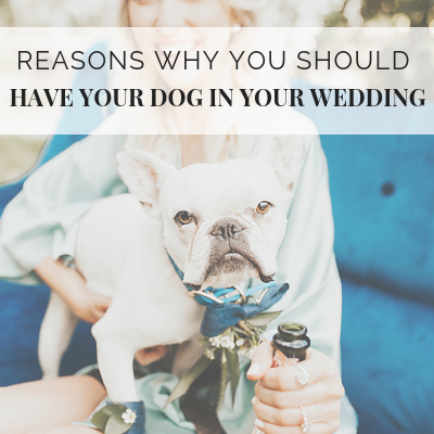 Reasons Why You Should Have Your Dog in Your Wedding