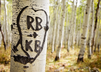 After the Wedding: A Step-by-Step Guide to Changing Your Name After Marriage